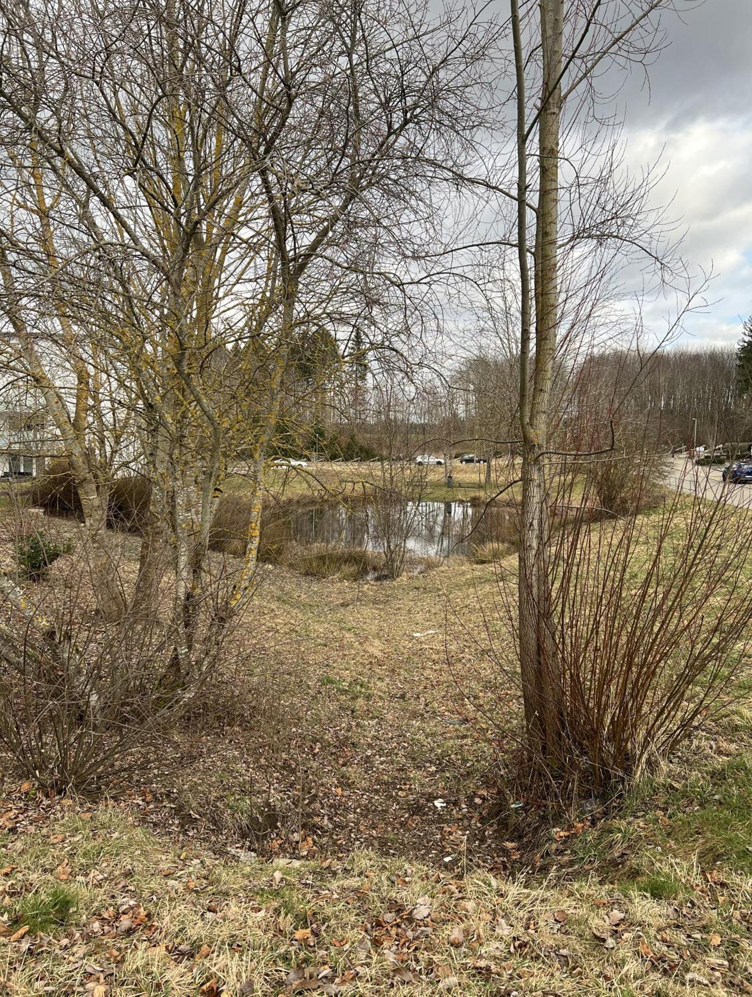My Home N 35 Villingen-Schwenningen Eksteriør billede